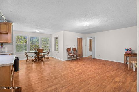 Tiny photo for 3640 Vixen Way, Cosby, TN 37722 (MLS # 1336620)