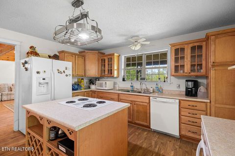 Tiny photo for 3640 Vixen Way, Cosby, TN 37722 (MLS # 1336620)