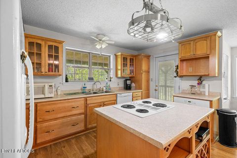 Tiny photo for 3640 Vixen Way, Cosby, TN 37722 (MLS # 1336620)