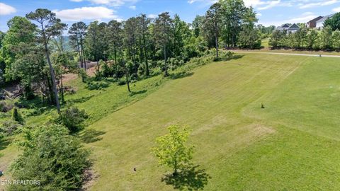 Tiny photo for 98 Cow Poke Lane, Rutledge, TN 37861 (MLS # 1347843)