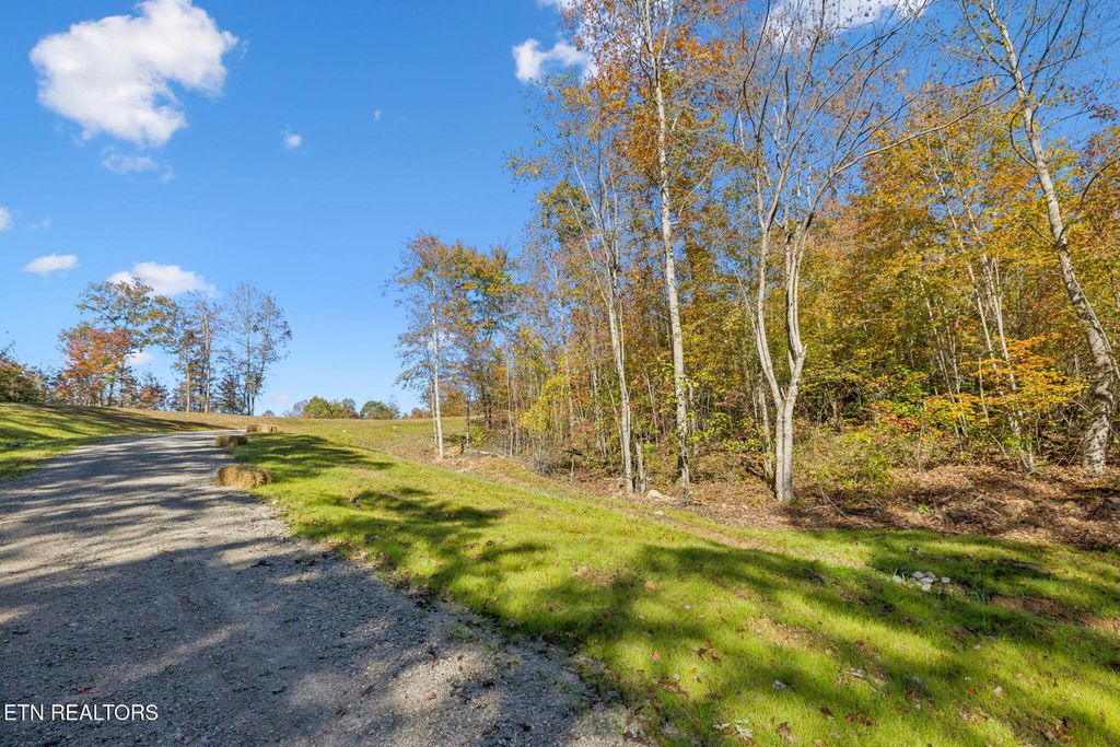 Photo of Sheep Ranch Road, Robbins, TN 37852 (MLS # 1324753)
