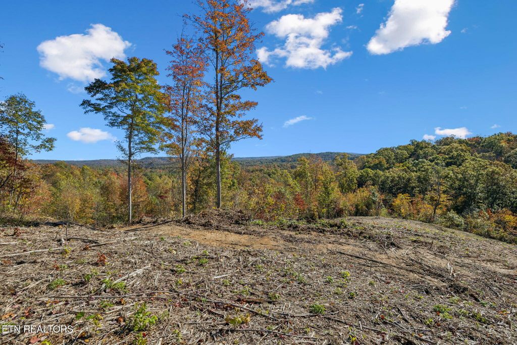 Photo of Sheep Ranch Road, Robbins, TN 37852 (MLS # 1324753)