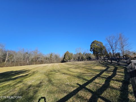 Tiny photo for 21 Rhea Springs Rd, Spring City, TN 37381 (MLS # 1329436)