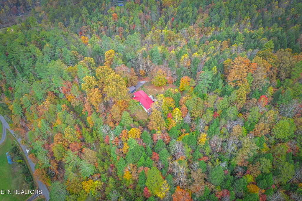 Photo of N ball Hollow Rd, Sevierville, TN 37876 (MLS # 1320779)