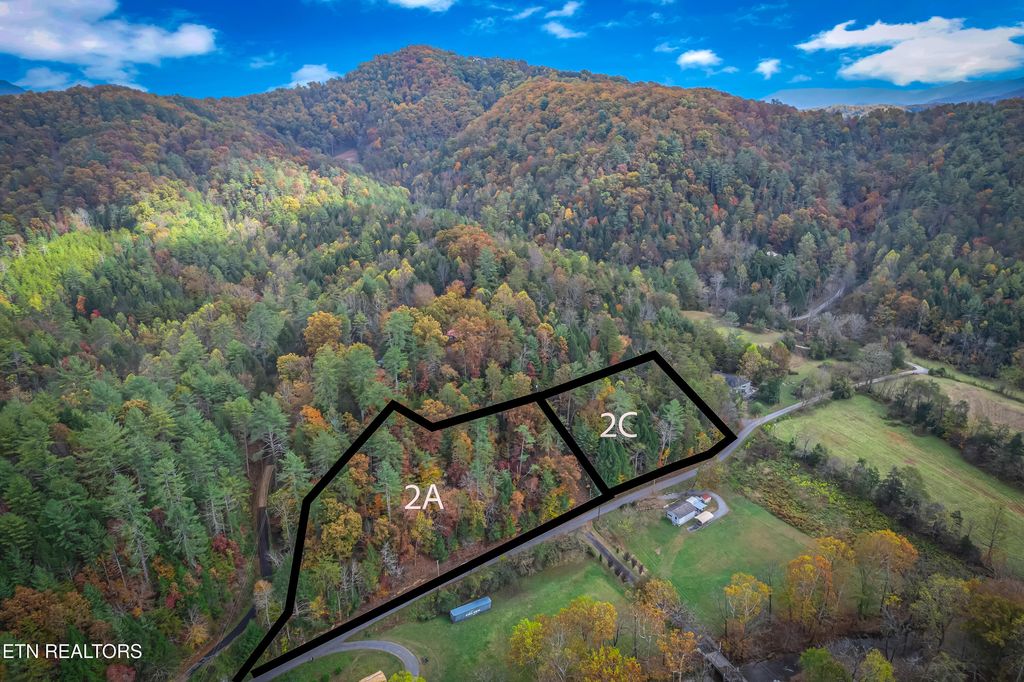Photo of N ball Hollow Rd, Sevierville, TN 37876 (MLS # 1320779)