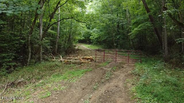 171 acres Scenic River Rd