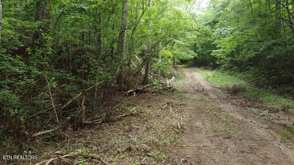 Photo of 171 Scenic River Rd, Madisonville, TN 37354 (MLS # 1311595)