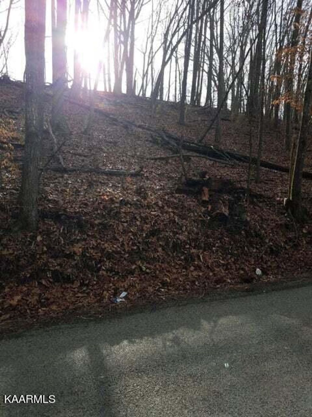 Photo of Old Cave Springs Rd, Tazewell, TN 37879 (MLS # 1230369)