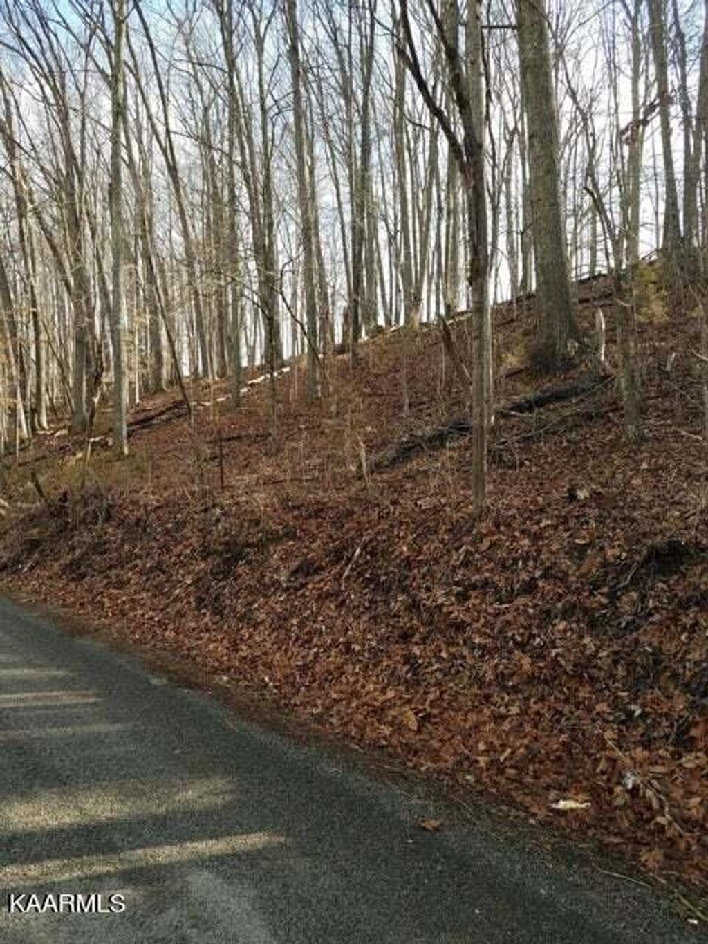 Photo of Old Cave Springs Rd, Tazewell, TN 37879 (MLS # 1230369)