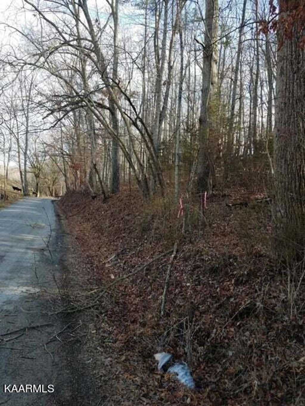 Photo of Old Cave Springs Rd, Tazewell, TN 37879 (MLS # 1230369)