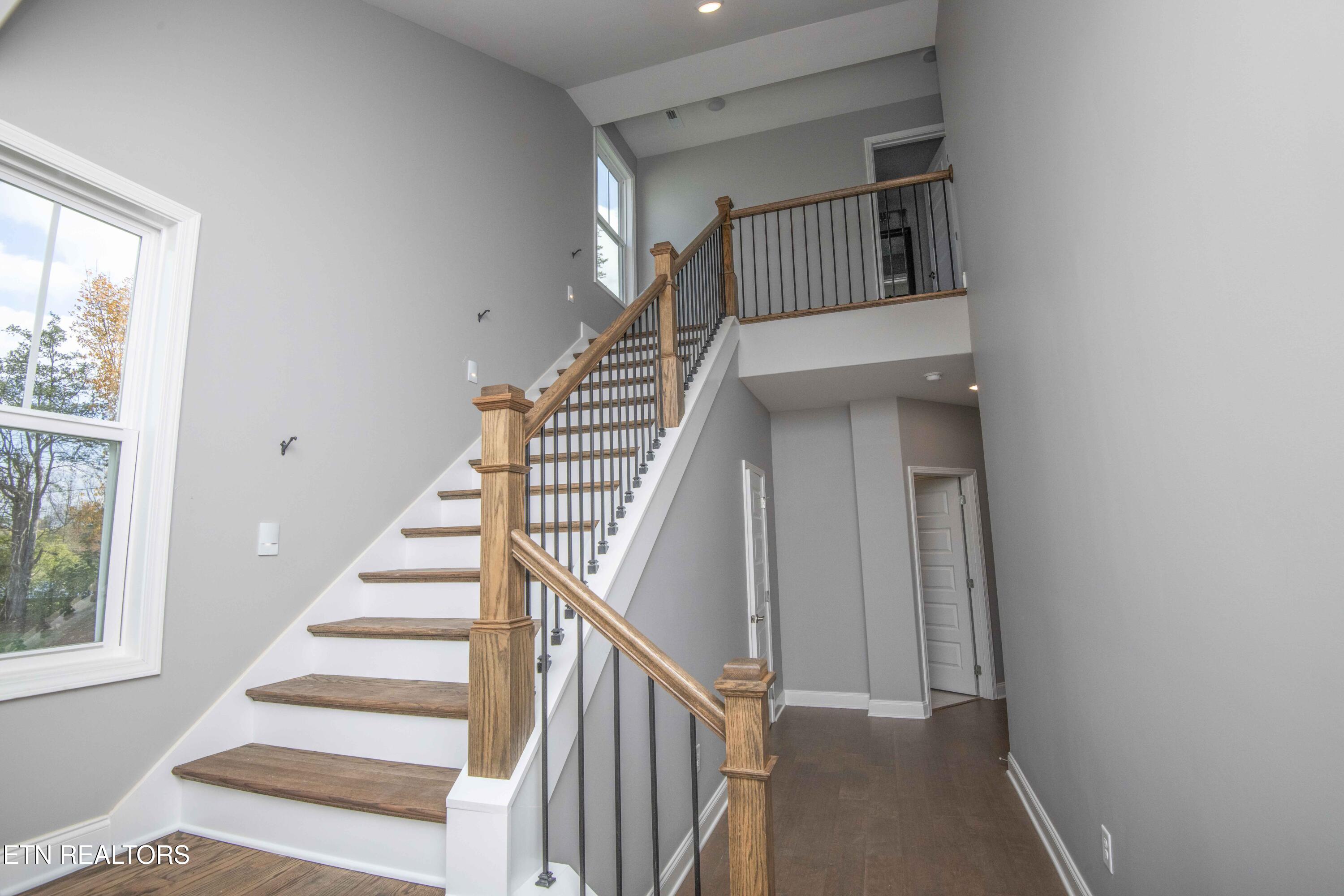 6704 Orange Petal Lane