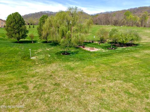 Tiny photo for 1225 Legacy Bay Drive, Mooresburg, TN 37811 (MLS # 1336621)