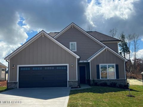 Photo of 127 River Birch Drive, Lenoir City, TN 37771 (MLS # 1339201)