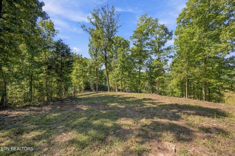 Tiny photo for 2247 Redman Lane, Decatur, TN 37322 (MLS # 1359524)