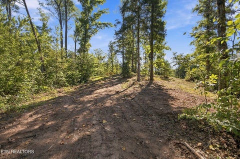 Tiny photo for 2247 Redman Lane, Decatur, TN 37322 (MLS # 1359524)