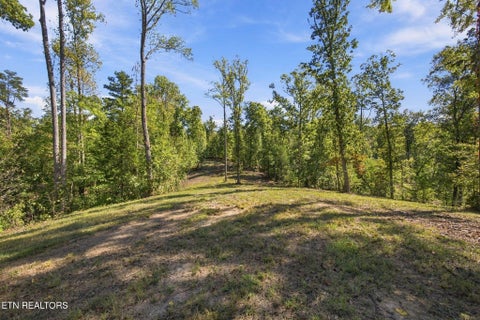 Tiny photo for 2247 Redman Lane, Decatur, TN 37322 (MLS # 1359524)