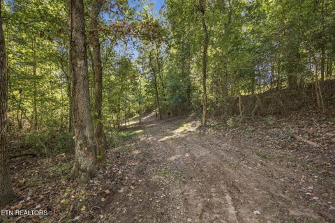 Tiny photo for 2247 Redman Lane, Decatur, TN 37322 (MLS # 1359524)