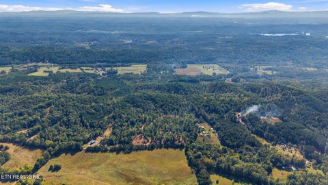 Tiny photo for 2247 Redman Lane, Decatur, TN 37322 (MLS # 1359524)