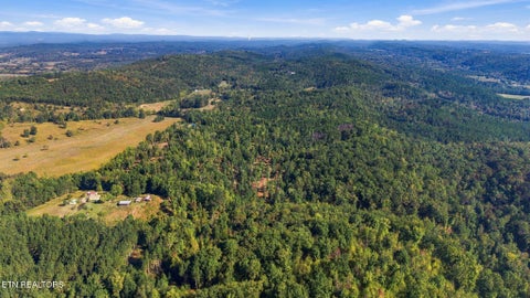 Tiny photo for 2247 Redman Lane, Decatur, TN 37322 (MLS # 1359524)