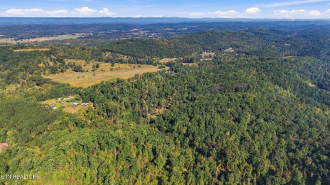 Tiny photo for 2247 Redman Lane, Decatur, TN 37322 (MLS # 1359524)