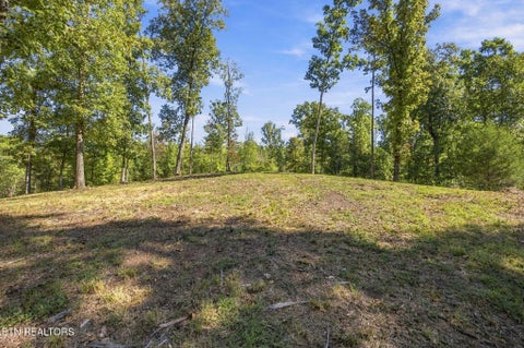 Tiny photo for 2247 Redman Lane, Decatur, TN 37322 (MLS # 1359524)