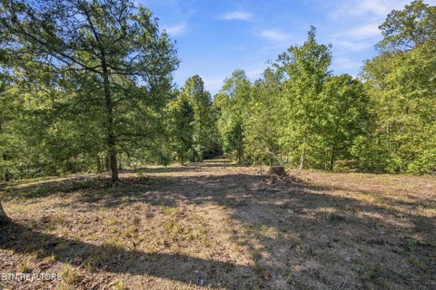 Tiny photo for 2247 Redman Lane, Decatur, TN 37322 (MLS # 1359524)