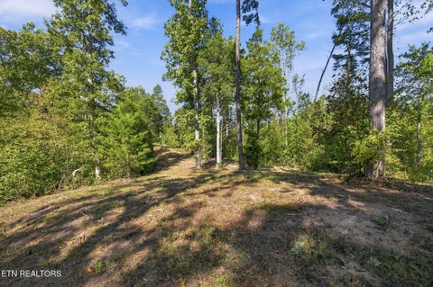 Tiny photo for 2247 Redman Lane, Decatur, TN 37322 (MLS # 1359524)