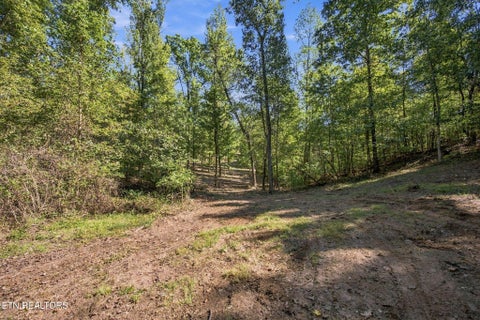 Tiny photo for 2247 Redman Lane, Decatur, TN 37322 (MLS # 1359524)
