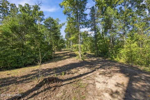 Tiny photo for 2247 Redman Lane, Decatur, TN 37322 (MLS # 1359524)