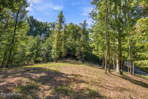 Tiny photo for 2247 Redman Lane, Decatur, TN 37322 (MLS # 1359524)