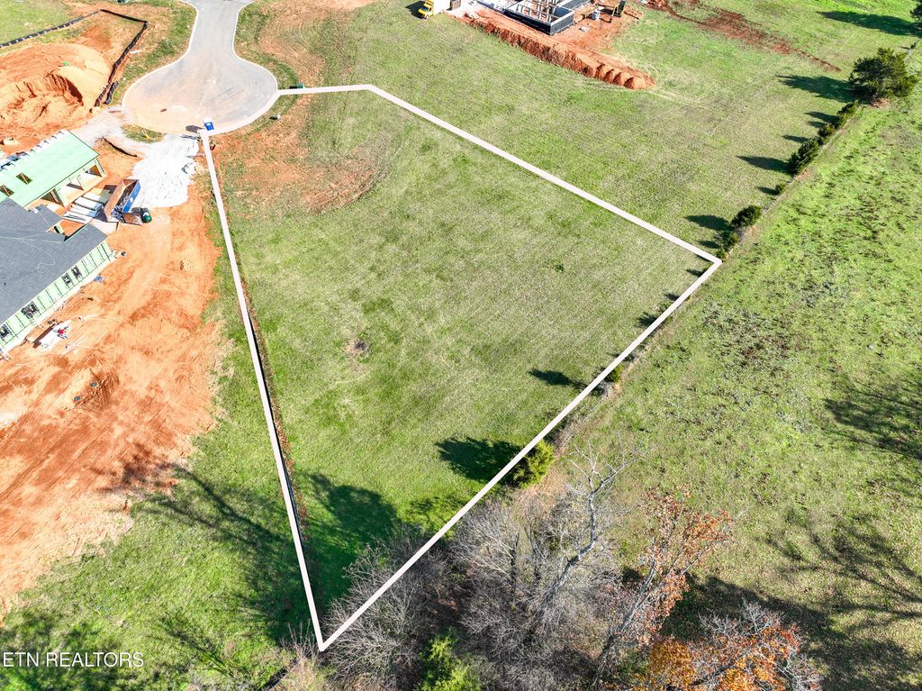 Photo of 105 Ella Louise Circle, Greenback, TN 37742 (MLS # 1283465)