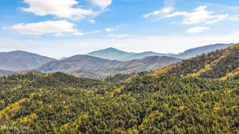 Tiny photo for 865 Stonegate Way, Townsend, TN 37882 (MLS # 1336707)