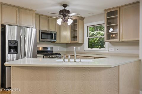 Tiny photo for 865 Stonegate Way, Townsend, TN 37882 (MLS # 1336707)