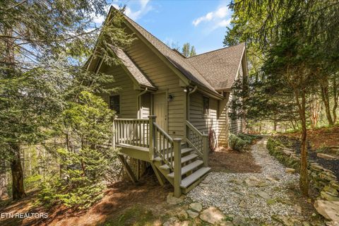 Tiny photo for 865 Stonegate Way, Townsend, TN 37882 (MLS # 1336707)