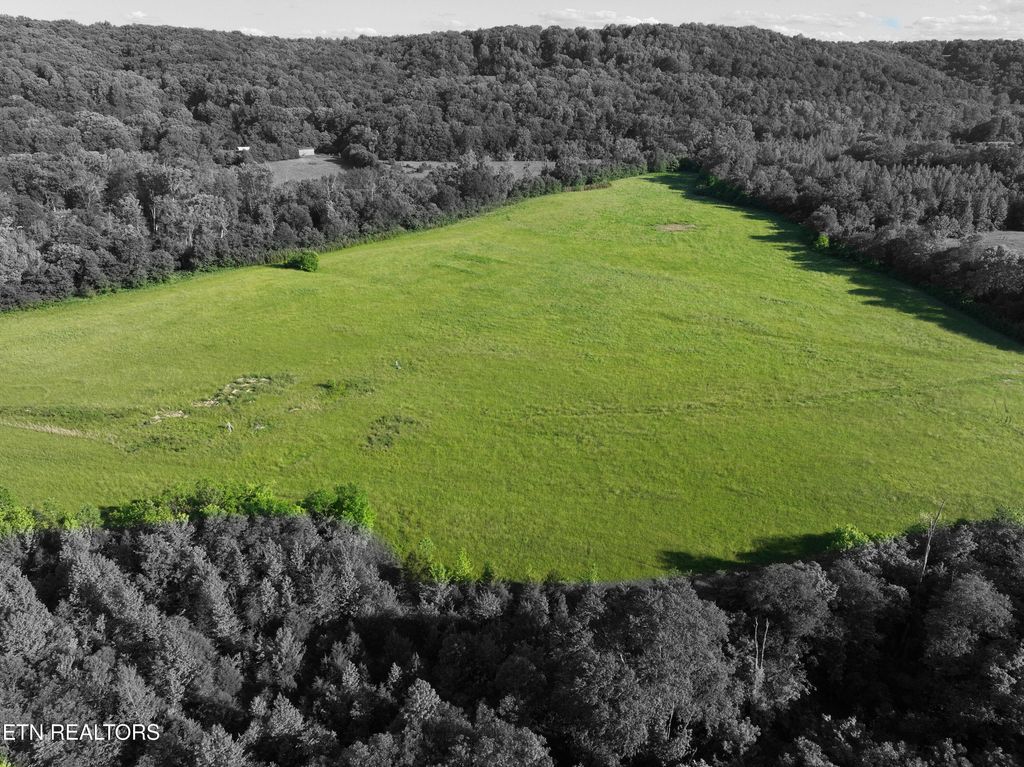 Photo of 140 Indian Creek Lane, Oliver Springs, TN 37840 (MLS # 1304829)