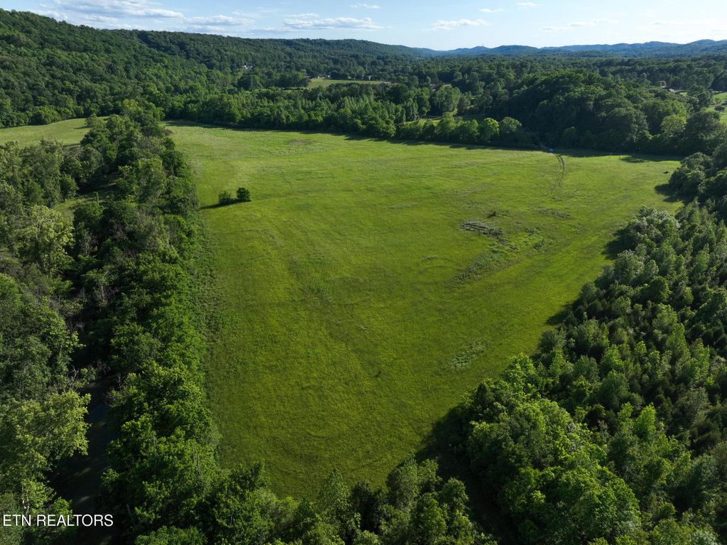 Photo of 140 Indian Creek Lane, Oliver Springs, TN 37840 (MLS # 1304829)