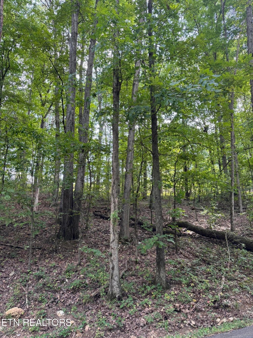 Photo of 1 Sunnyside Rd, Philadelphia, TN 37846 (MLS # 1353328)