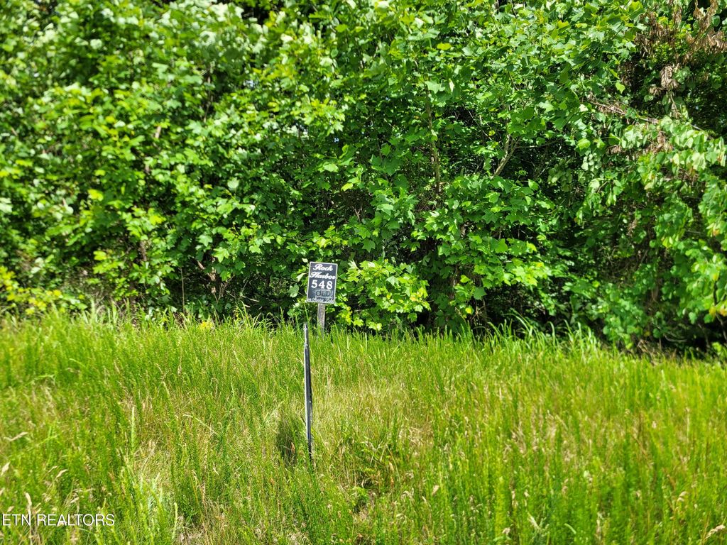 Photo of Marble Point Way, New Tazewell, TN 37825 (MLS # 1264370)