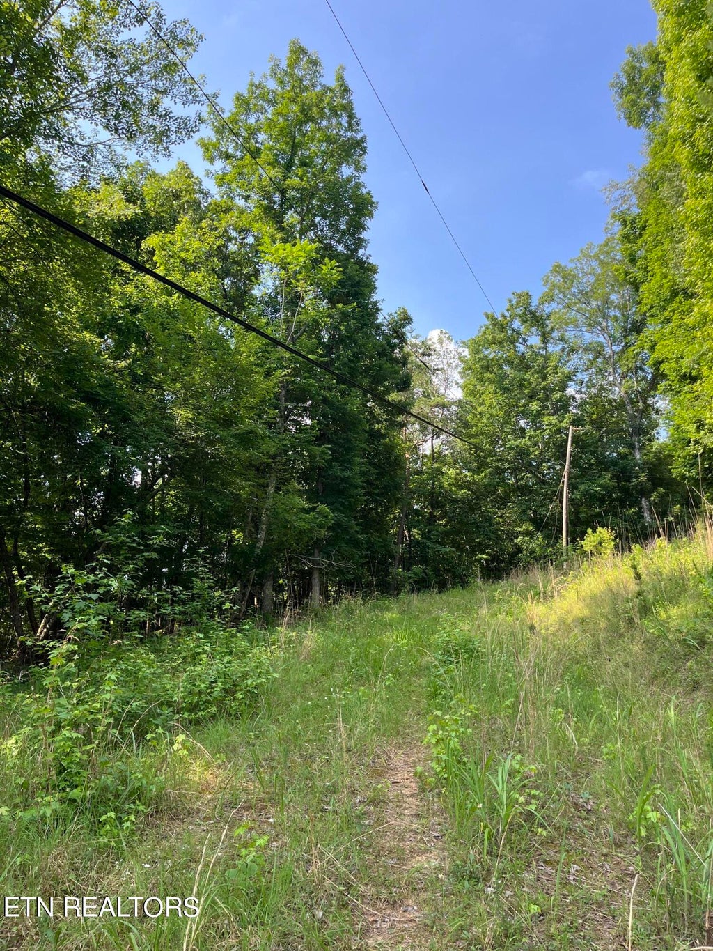 Photo of 00 Hawthorne Drive, Spring City, TN 37381 (MLS # 1267997)