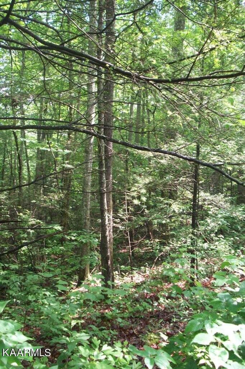 Photo of 491 Chetola Trail, Townsend, TN 37882 (MLS # 1219110)