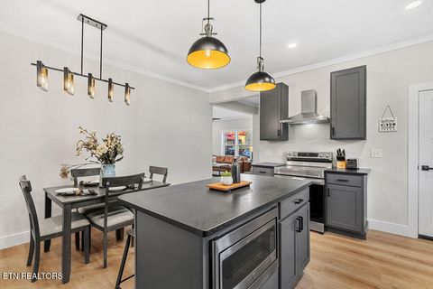 Tiny photo for 302 N B St, Lenoir City, TN 37771 (MLS # 1347078)