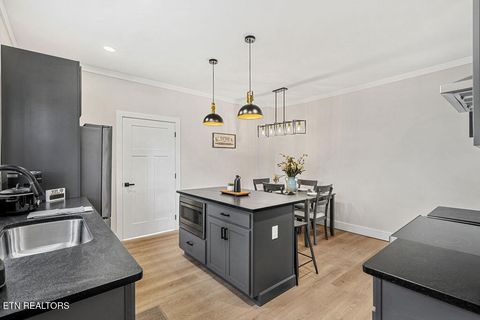 Tiny photo for 302 N B St, Lenoir City, TN 37771 (MLS # 1347078)