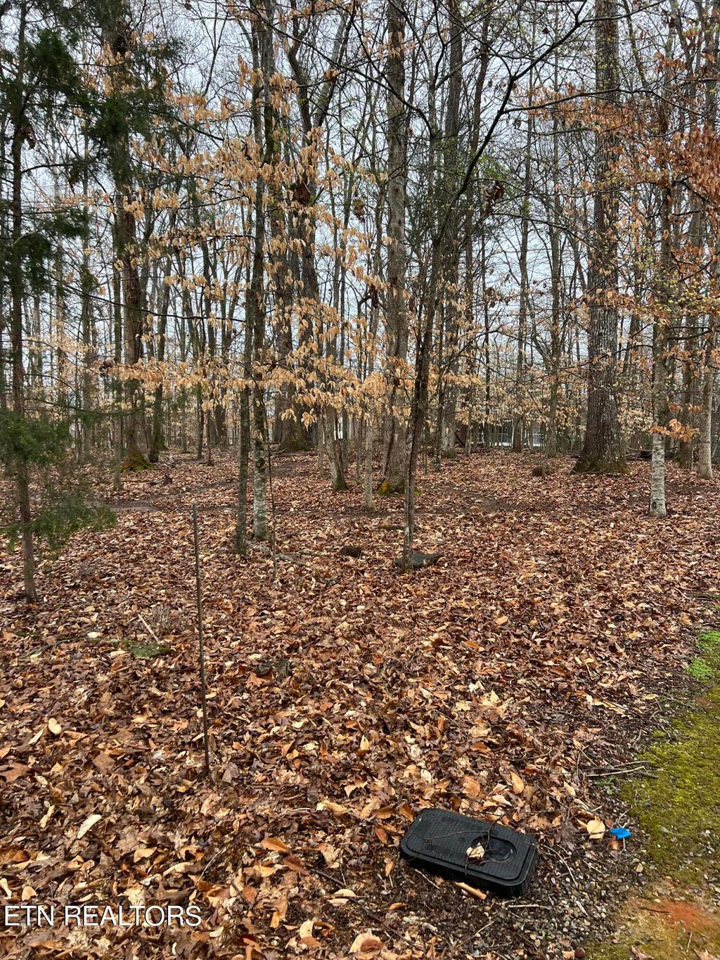 Photo of 438 Goweli Tr, Vonore, TN 37885 (MLS # 1256847)