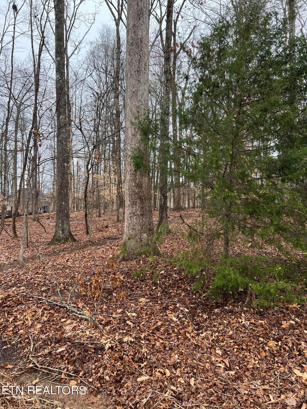 Photo of 438 Goweli Tr, Vonore, TN 37885 (MLS # 1256847)