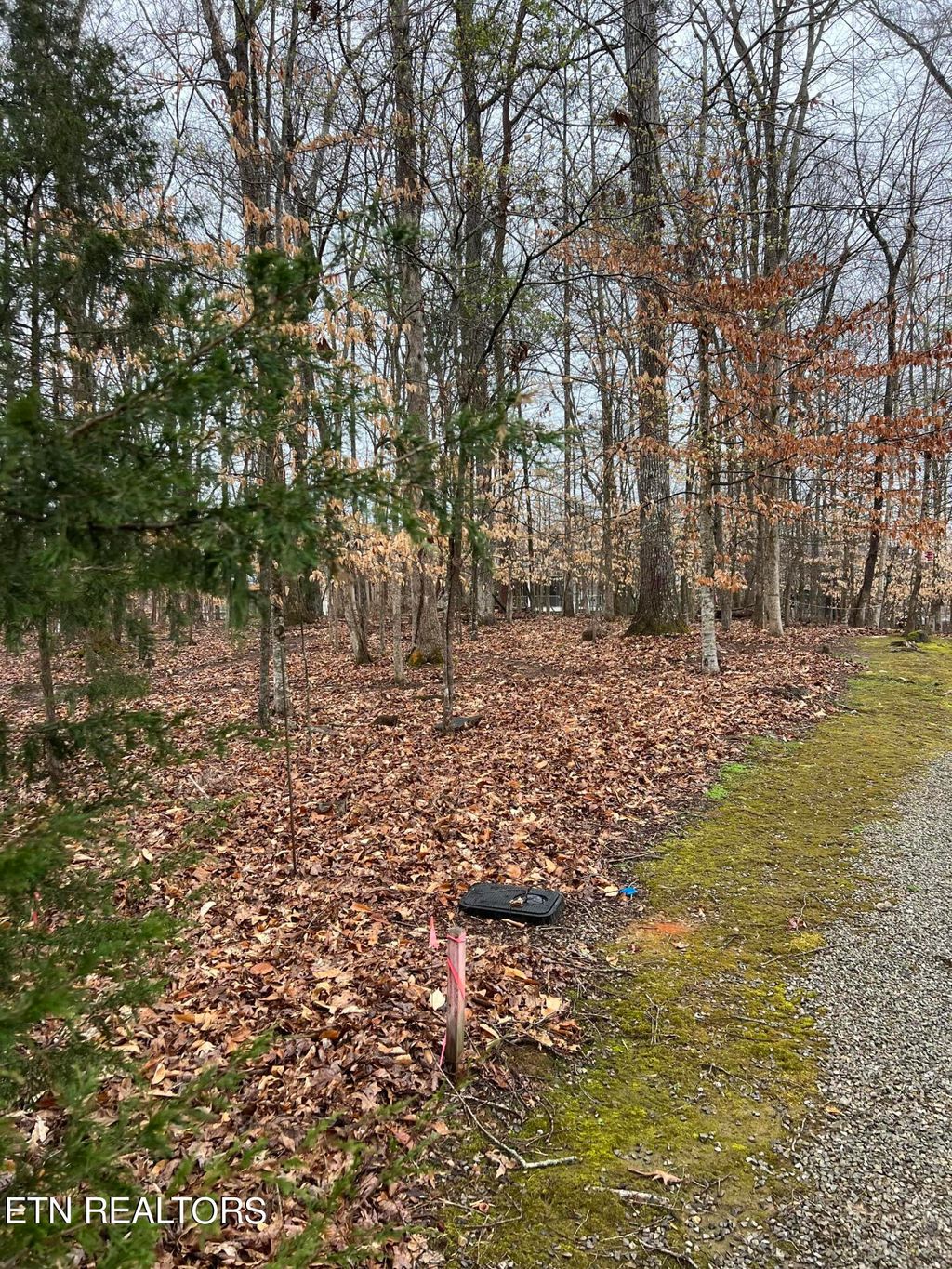 Photo of 438 Goweli Tr, Vonore, TN 37885 (MLS # 1256847)