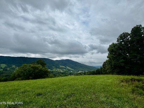 Tiny photo for 1545 Estes Rd, Tazewell, TN 37879 (MLS # 1349617)
