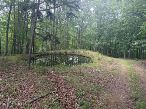 Tiny photo for 1545 Estes Rd, Tazewell, TN 37879 (MLS # 1349617)