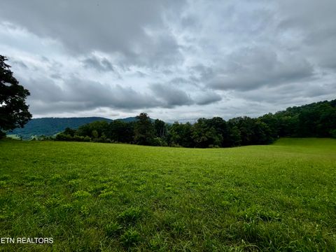 Tiny photo for 1545 Estes Rd, Tazewell, TN 37879 (MLS # 1349617)