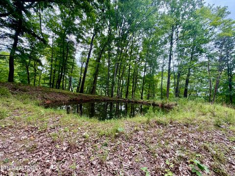 Photo of 1545 Estes Rd, Tazewell, TN 37879 (MLS # 1349617)