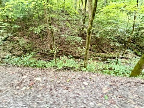 Tiny photo for 1545 Estes Rd, Tazewell, TN 37879 (MLS # 1349617)